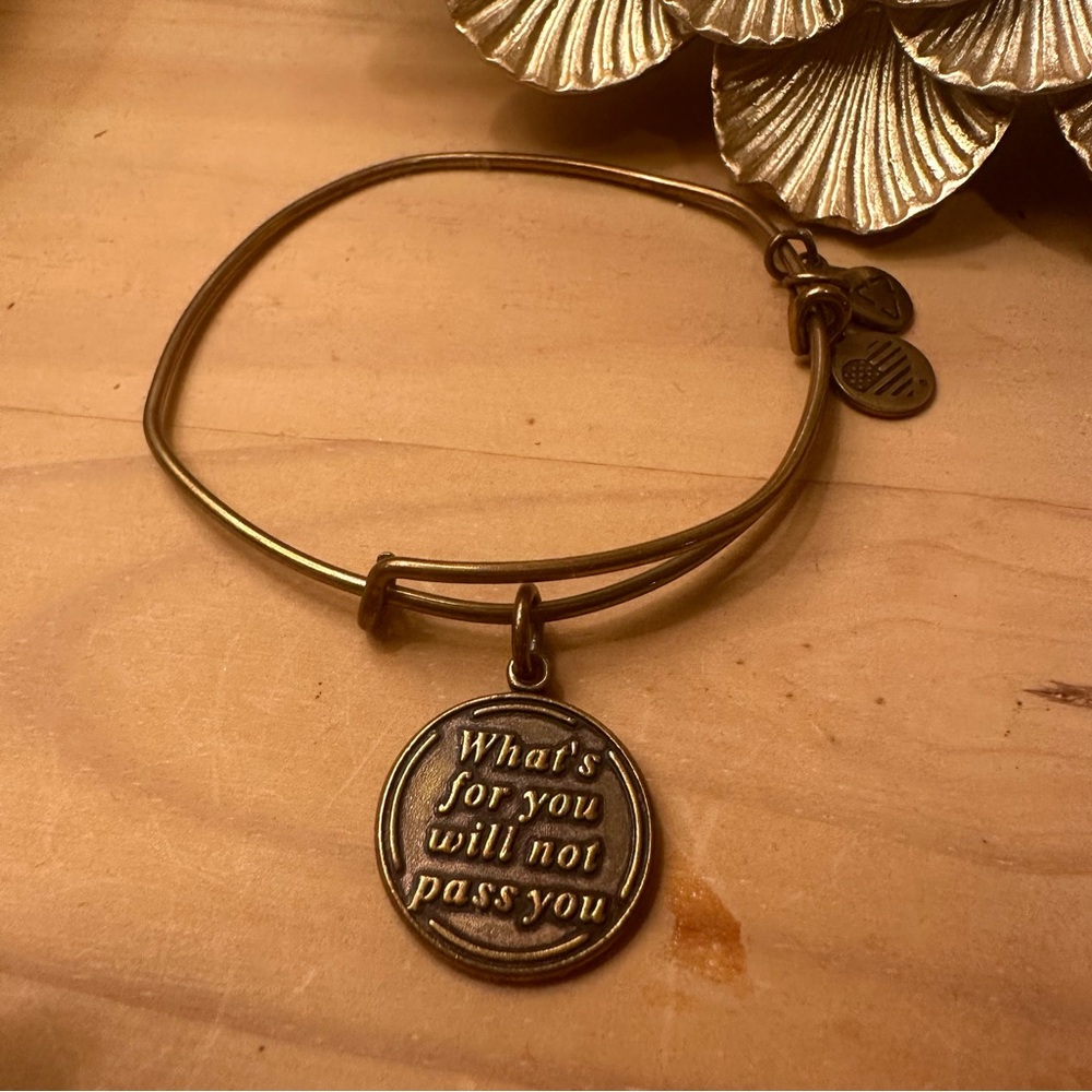 Alex and Ani What’s for you will not pass you charm bangle bracelet